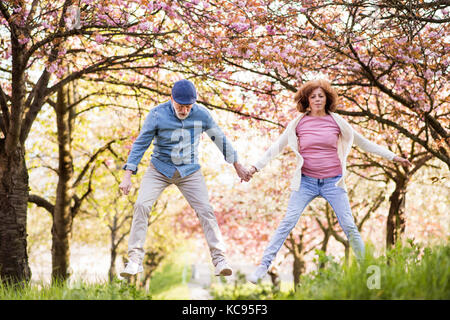 Beautiful senior couple in love on a walk outside, enjoying spring nature under blossoming trees. Man and woman having fun. Stock Photo