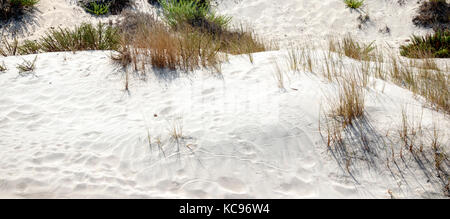 Barkhans of white sand with traces of birds and in Stock Photo