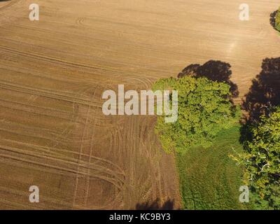 Drone still image at a height of 350ft of the Sussex countryside during late Summer. Stock Photo