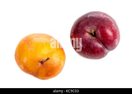 Red and Yellow plum on a white background top view Stock Photo