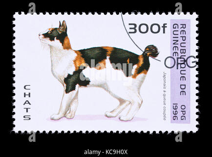 Postage stamp from Guinea depicting a Japanese breed of cat. Stock Photo