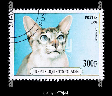 Postage stamp from Togo depicting a Java breed of housecat. Stock Photo