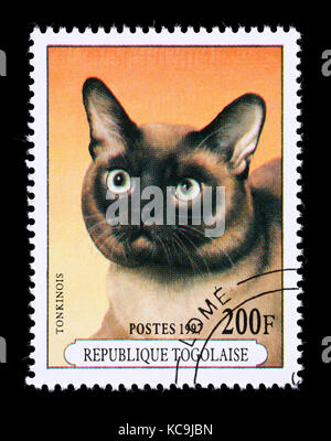 Postage stamp from Togo depicting a Siamese breed of housecat Stock Photo