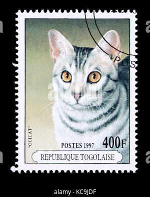 Postage stamp from Togo depicting a Ocicat breed of housecat. Stock Photo