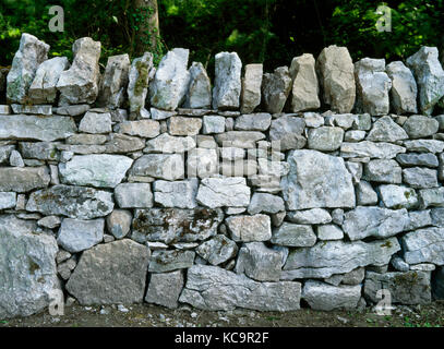 Drystone wall, Loggerheads Country Park, Denbighshire, North Wales, UK. Rebuilt by Richard Jones. Locally sourced limestone. Stock Photo