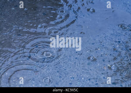 rain drops on the surface of water in a puddle Stock Photo