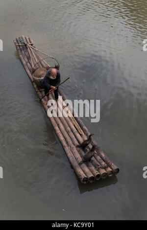 Old Chinese fisherman on bamboo draft with cormorants on Li River near Xingping, between Yangshuo and Guilin, Guangxi, China, Asia Stock Photo