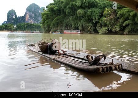 Old Chinese fisherman on bamboo draft with cormorants on Li River near Xingping, between Yangshuo and Guilin, Guangxi, China, Asia Stock Photo