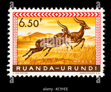 Postage stamp from Ruanda-Urundi (Rwanda, Burundi) depicting impalas. Stock Photo