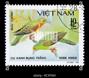 Postage stamp from Vietnam depicting a White-bellied Green pigeon (Treron sieboldii) Stock Photo