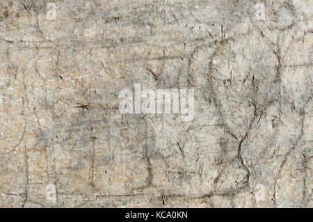 Texture of aged hardboard. Abstract rustic background. Soft focus. Stock Photo