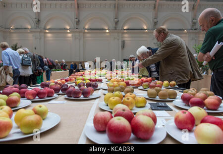 Lindley Hall, London, UK. 3 October 2017. Two-day RHS London Harvest Festival Show opens, celebrating Harvest this year with the RHS’ Giant Pumpkin and Autumn Fruit and Vegetable competitions. Credit: Malcolm Park/Alamy Live News. Stock Photo