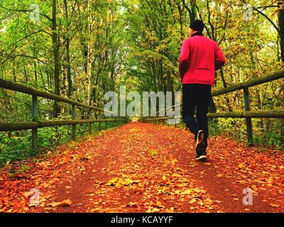 Sportsman in pink and black sportswear run on road. The man is slowly running on asphalt way covered by autumn leaves. Pathway in park, beeches and ma Stock Photo
