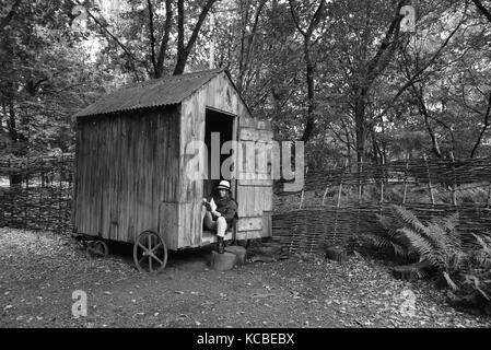 Woman relaxing with book on woodland garden shed on wheels Britain Uk secluded seclusion isolation hideaway rural retreat Stock Photo