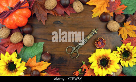 Autumn Fall overhead with seasonal fruit and nuts on a rustic wood background. Stock Photo