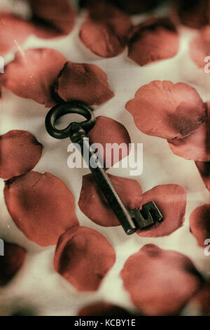 Medieval wrought iron key on red rose petals. Stock Photo