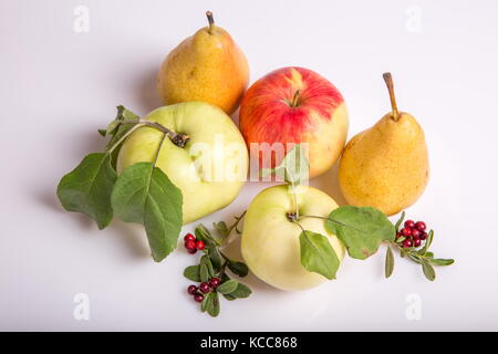 Apples, pears and cowberry on white background Stock Photo