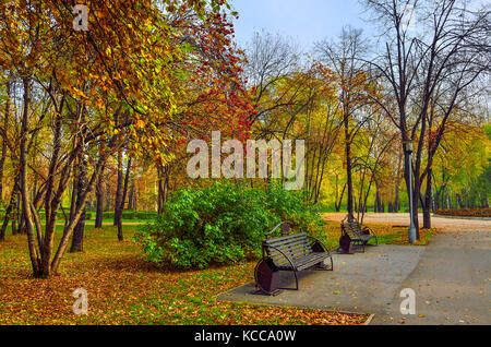 Cozy Corner of autumn park with the bench under rowan tree branches with bunches of red berries. Stock Photo