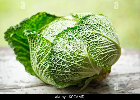 Savoy cabbage on white background Stock Photo