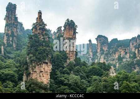 View from Tianzi Mountain, Yuanjiajie Scenic Area, Wulingyuan Stock Photo