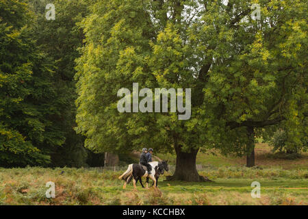 Horse riders in Richmond Park, Richmond upon Thames. Stock Photo