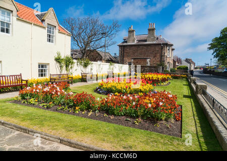 North Berwick town centre Stock Photo: 26159171 - Alamy