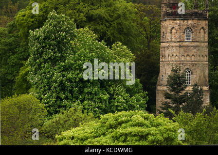 Culloden Tower, Richmond, North Yorkshire Stock Photo