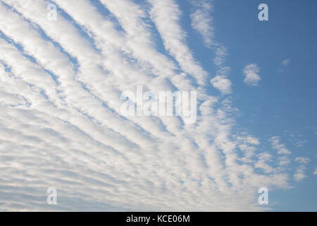 Altocumulus stratiformis undulatus clouds Stock Photo