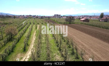 Plowed field in spring time aerial wiev ,image of a