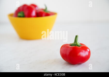 Mini Hungarian garden pepper var. Right on Red Stock Photo