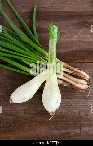 Spring onions are rich in vitamins,minerals and natural compound. Green onions or Spring onions on vintage wooden background. Stock Photo