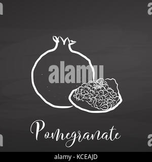 Pomegranate drawing on chalkboard. Hand drawn healthy food sketch. Black and White Vector Drawing on Blackboard. Stock Photo
