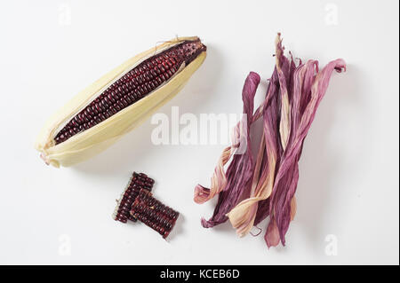 Black glutinous corn on white table with components including kernels and dried peels that can used to a wide range. Zero-waste kitchen and cooking co Stock Photo