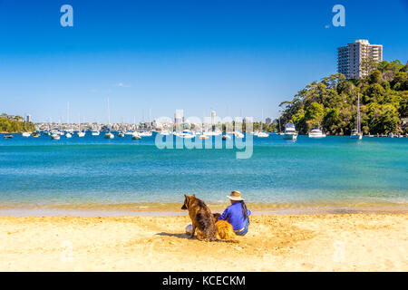 An owner sits on a Sydney Beach with her two dogs Stock Photo