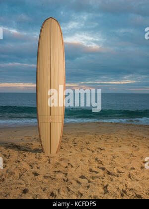 Surfboard stuck in sand at the beach Stock Photo