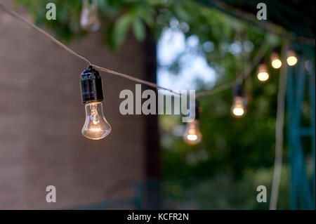 Decorative outdoor string lights hanging on tree in the garden in evening time Stock Photo