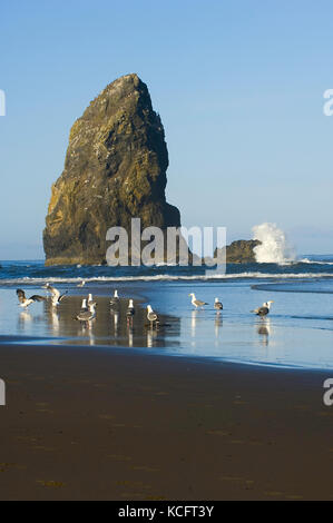 Haystack Rock, Cannon Beach, Oregon coast, USA Stock Photo