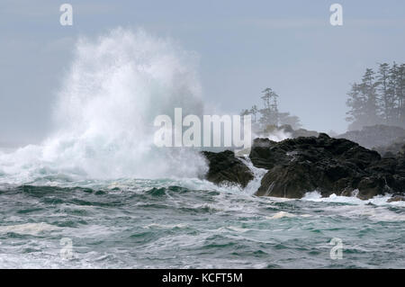 Big Beach, Wild Pacific Trail, Ucluelet, Vancouver Island, BC, Canada Stock Photo
