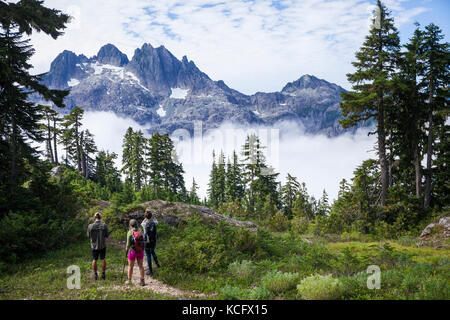Three young hikers look towards Triple Peak while hiking the trail to 5040 Peak in the Alberni-Clayoquot region on Vancouver Island, BC, Canada. Stock Photo
