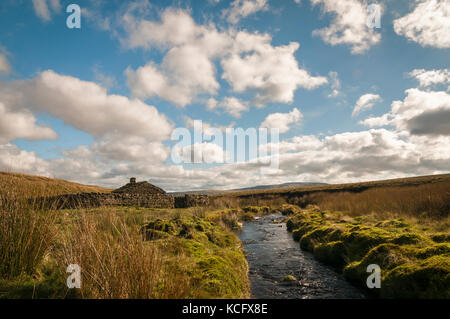 A Sheepfold and shepards hut on Birkdale Common, high up on the north Yorkshire Dales moors, England. Stock Photo