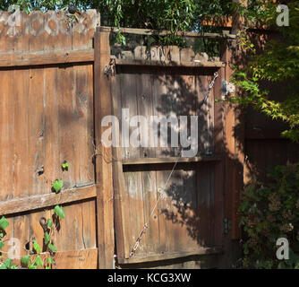 Old wooden gate in overgrown garden Stock Photo