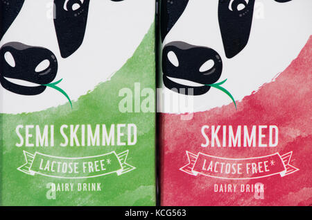 Lactose Free Dairy Drink carton labelling Stock Photo