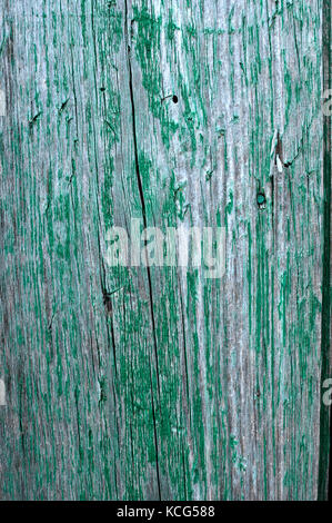 Cracked weathered emerald green shabby chic painted wooden board texture, front view Stock Photo