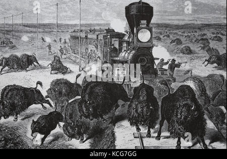 USA. Hunting of Buffalo. The American West. A bufallo hunter's camp in Kansas. Engraving, 1877. The Graphic. Stock Photo