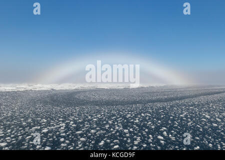 Fogbow / fog bow / white rainbow / sea-dog over the Arctic Sea at Svalbard, Norway Stock Photo