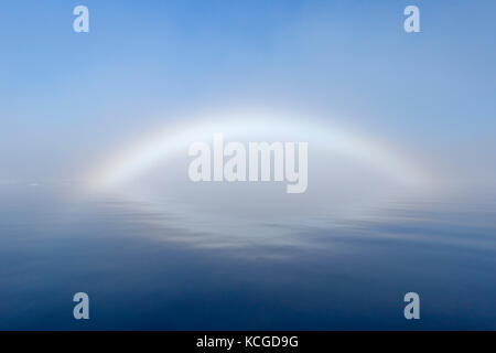 Fogbow / fog bow / white rainbow / sea-dog over the Arctic Sea at Svalbard, Norway