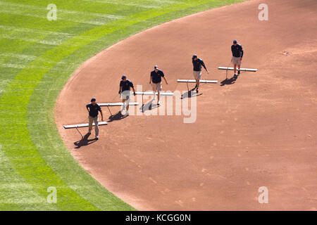 MINNEAPOLIS, MINNESOTA/UNITED STATES - September 15, 2012:Five men cleaning a baseball field between innings at Target Field in Minneapolis, Minnesota Stock Photo