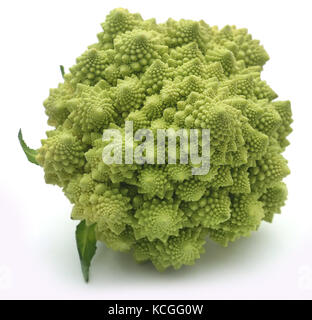 Romanesco broccoli over white background Stock Photo