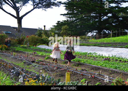 girls play in esalen gardens Stock Photo