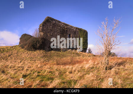 Aros Castle is a ruined 13th-century castle near Salen on the Isle of Mull, Scotland. Stock Photo